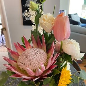 Meet your Posher, Julia